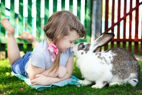 Girl playing with a rabbit.