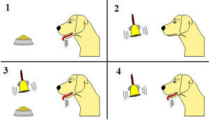 Ivan Pavlov: dog and bell.