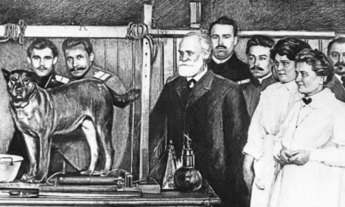 Ivan Pavlov and Positive Reinforcement in Dogs