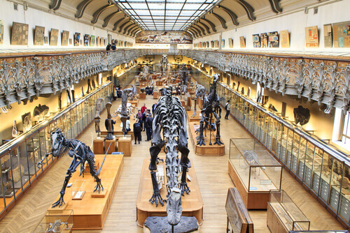 National Museum of Natural History in Paris.
