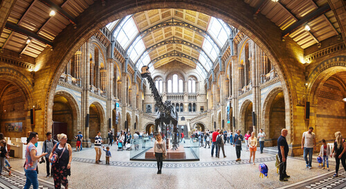 The Best 5 Natural History Museums