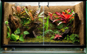 A tropical terrarium.