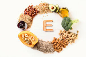 The Importance of Vitamin E for Cats and Dogs