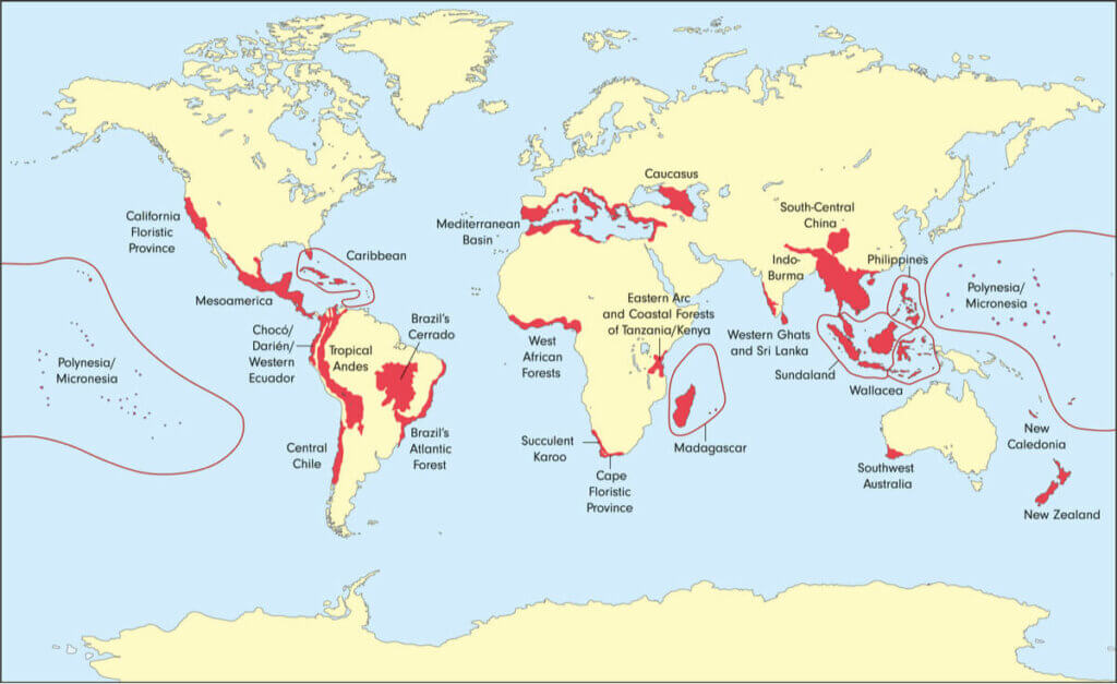 What Are Biodiversity Distribution Maps? - My Animals