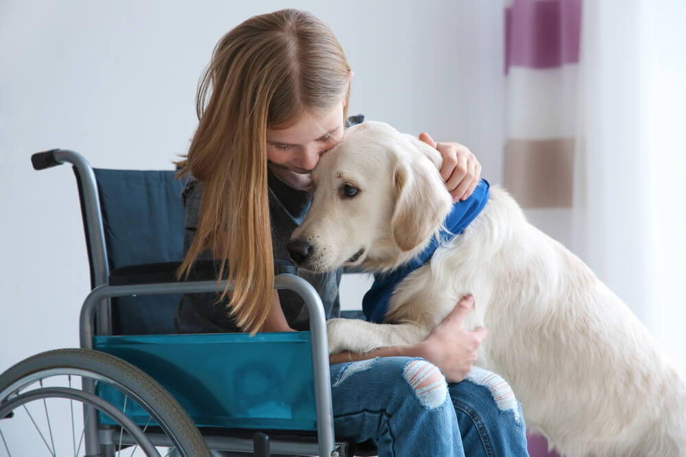 Can My Dog Participate in Animal-Assisted Therapies?
