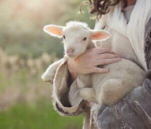 Diarrhea in Small Ruminant Newborns