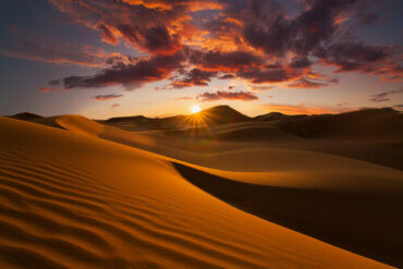 Interesting Facts About the Sahara Desert - My Animals