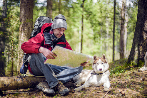 Things to Consider When Going Hiking with Your Pet