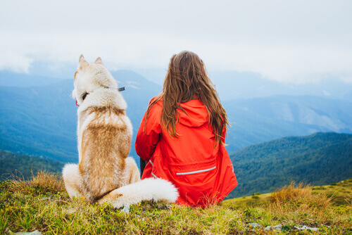 A woman and a dog enjoying the view.