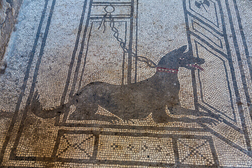 A mosaic of a Roman dog.