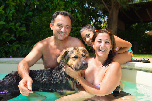 Tips for Buying a Dog Pool