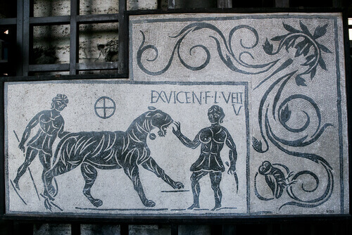 A Roman mosaic of a tiger.