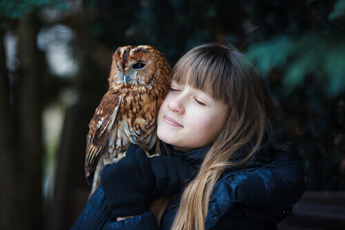 Can I Keep an Owl as a Pet?