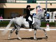 A trained horse and its rider at a show.