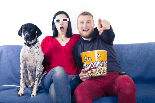 A couple and their dog watch a movie.