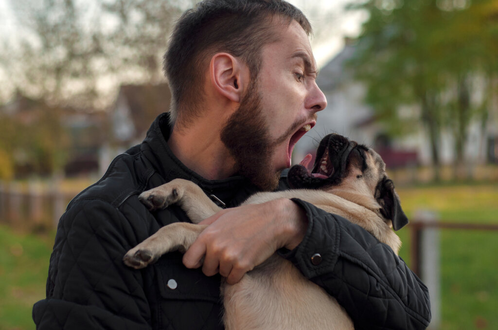 5 Things You Shouldn't Do With Your Dog