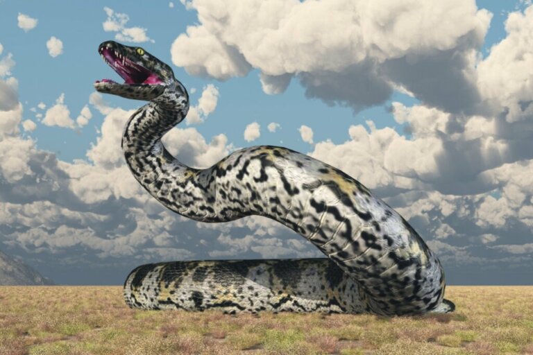 Titanoboa: The Largest Snake in the World