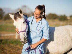 What Is Equine Influenza?