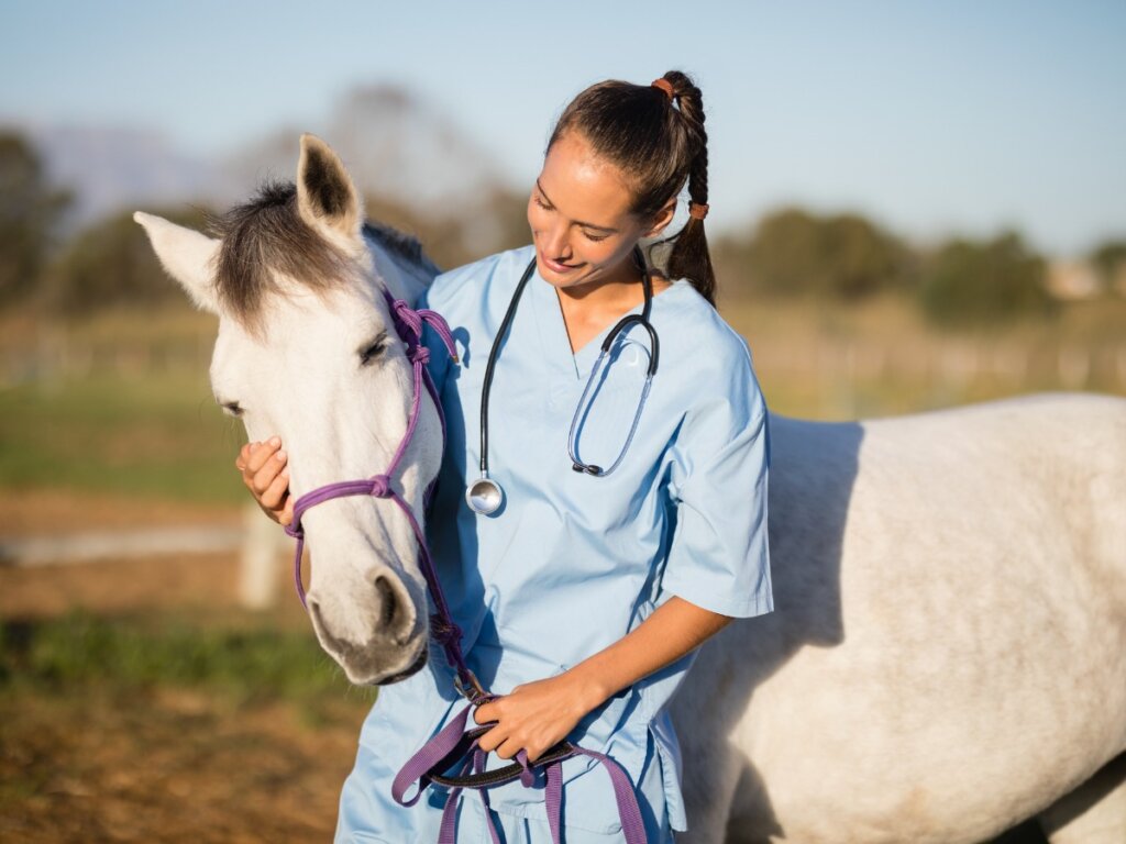 Hästterapi med veterinär.