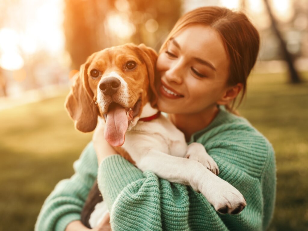 12 Questions and Answers About Dog Care