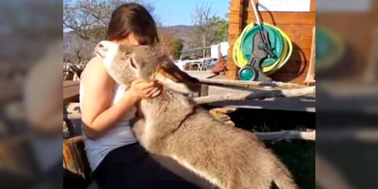 The Newborn Donkey that Thinks It's a Dog!