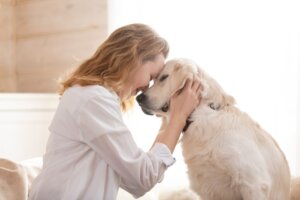 Why Your Dog Leans on You