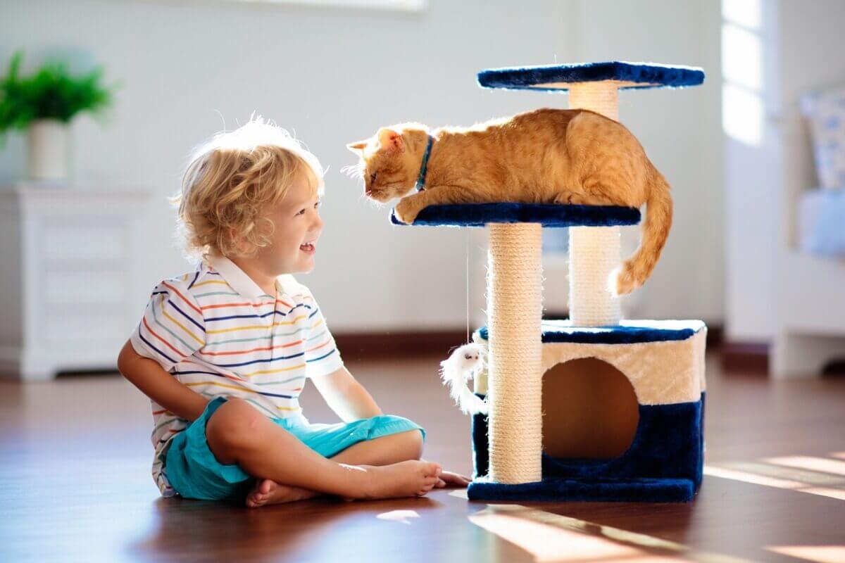 A toddler smiling at a cat on a cat gym.