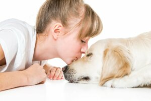 9 Tips to Extend the Life of Your Dog