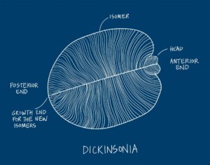 World's First Animal Discovered