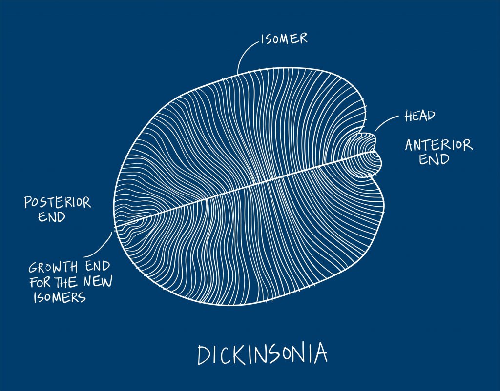 World's First Animal Discovered