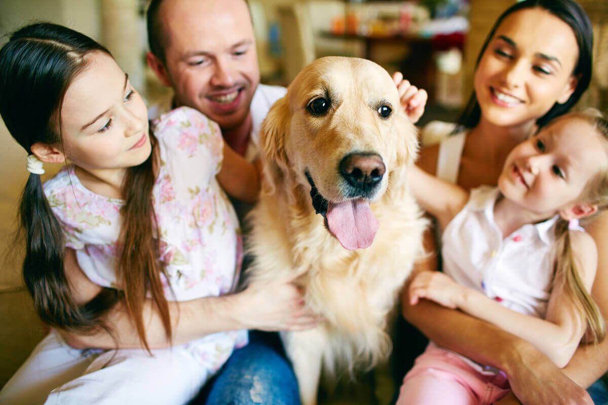 Parents and their two daughters cuddling a golden retriever.