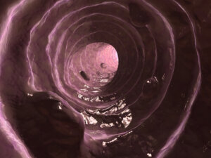 Mucus in Dog Feces: Causes and Treatment