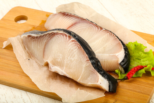 Is Shark Meat Safe to Eat?
