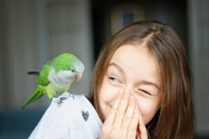 The 12 Best Pet Birds