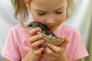 How to Tell if Your Hamster Is Happy!