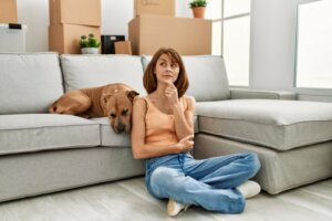 8 Gestures in Dogs that We Misinterpret