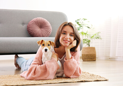 8 Useful Tips to Help Your Pet Cope with Moving House