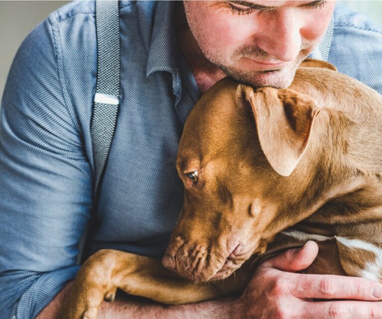 7 Things You Do that Can Shorten Your Dog's Life