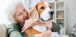 Hygiene at Home with Your Pet