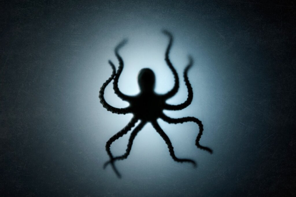 The 12 Largest Sea Creatures in the World