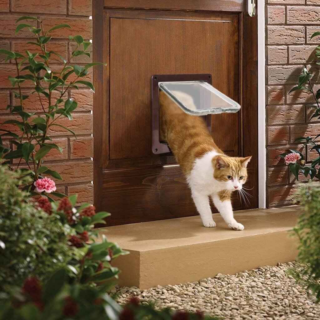 Cat flap: invented by Isaac Newton