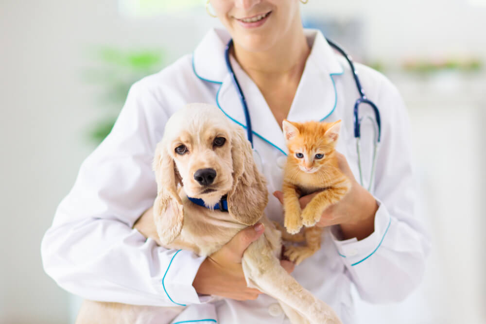 En veterinär med en hund och en katt.