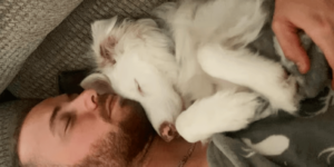 Man Creates System to Communicate with His Blind Dog