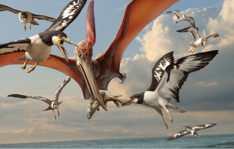 10 Types of Flying Dinosaurs