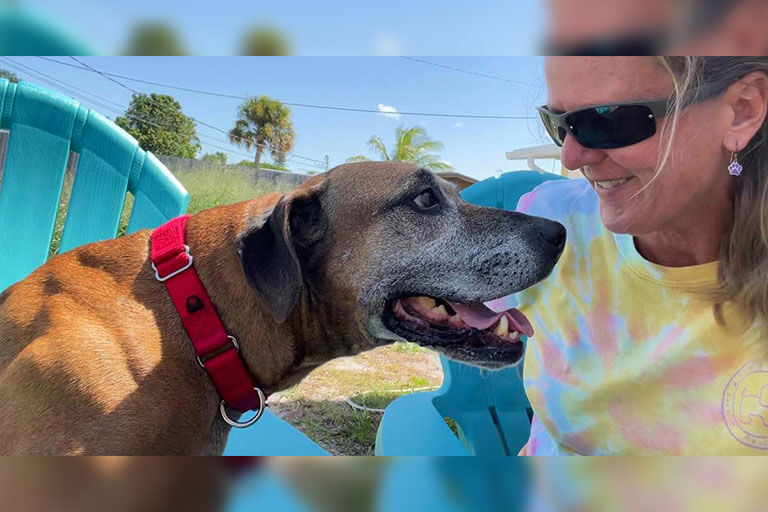 Finally Adopted After Waiting 8 Years in a Shelter