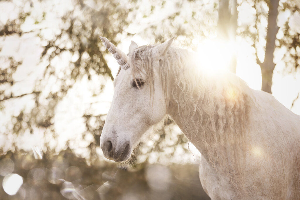 The Unicorn: 3 Animals that Inspired this Fantastic Myth