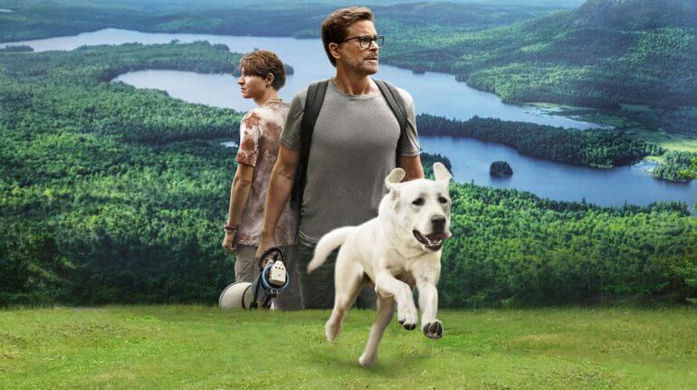 Dog Gone: Learn the Heart-Touching Story Behind the Movie