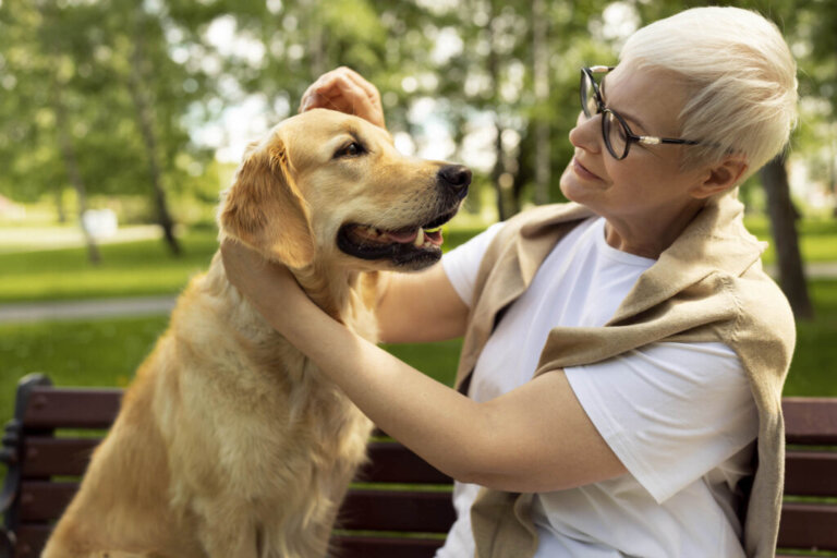 How to Work Out the Age of a Dog