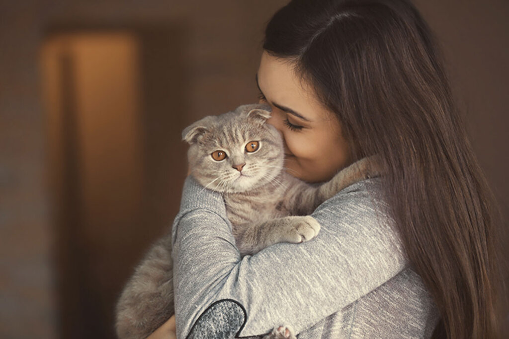 Tips to Survive the First Days with Your Adopted Cat