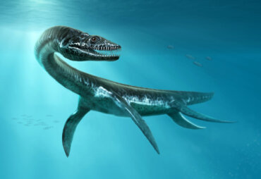 10 Types of Marine Reptiles of the Mesozoic Era
